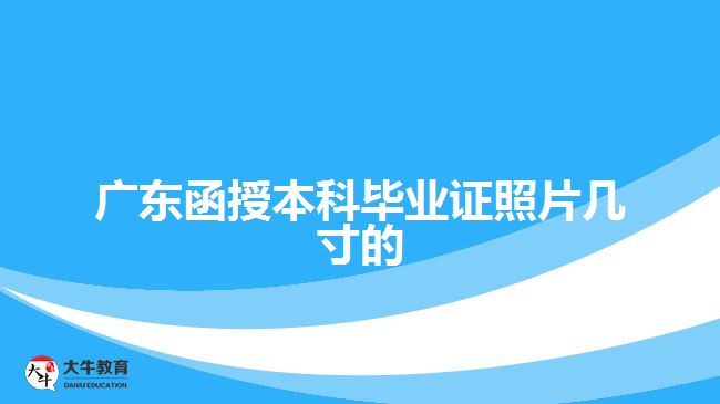 广东函授本科毕业证照片几寸的