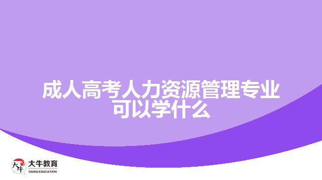 成人高考人力资源管理专业可以学什么