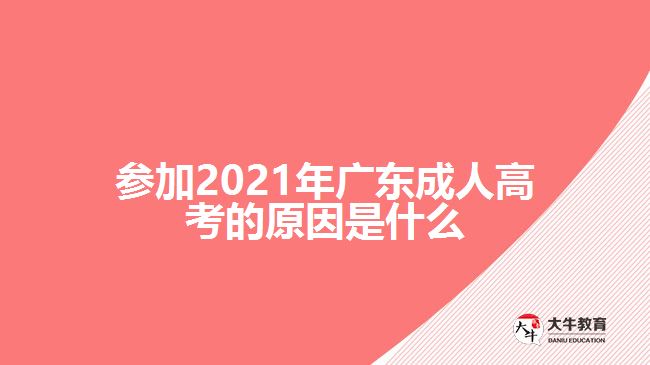 参加2021年广东成人高考的原因是什么