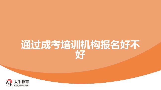 通过成考培训机构报名好不好