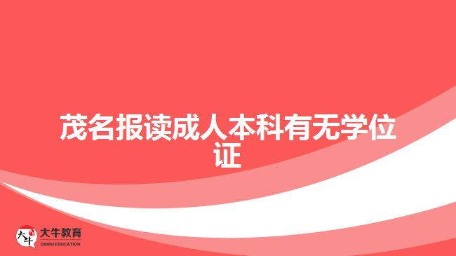茂名报读成人本科有无学位证