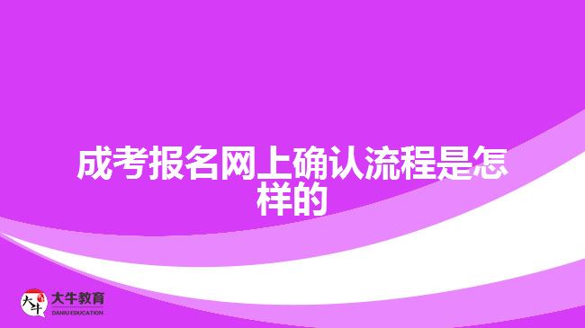 成考报名网上确认流程是怎样的