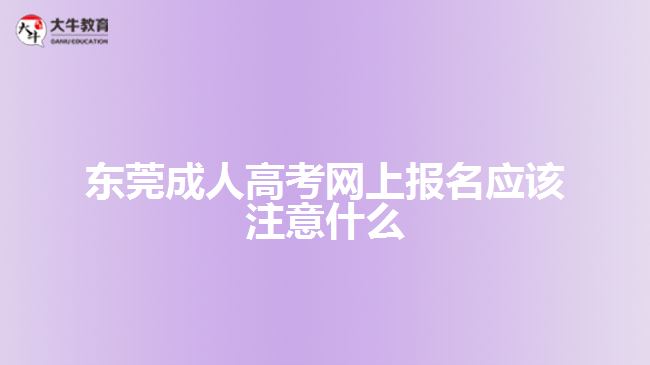 东莞成人高考网上报名应该注意什么