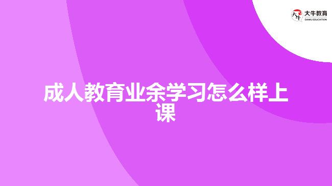 成人教育业余学习怎么样上课