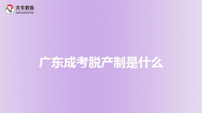 广东成考脱产制是什么