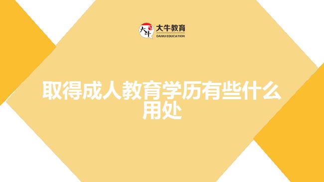 取得成人教育学历有些什么用处