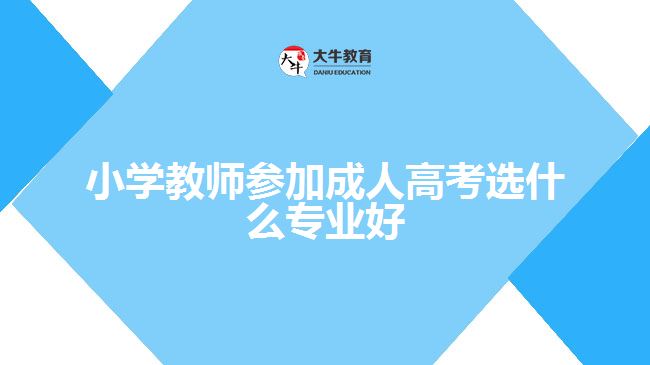 小学教师参加成人高考选什么专业好