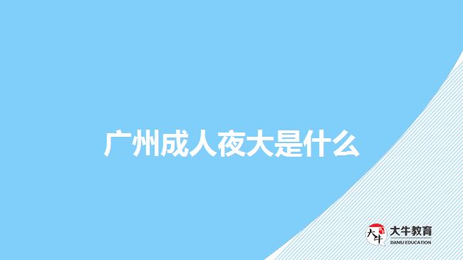 广州成人夜大是什么