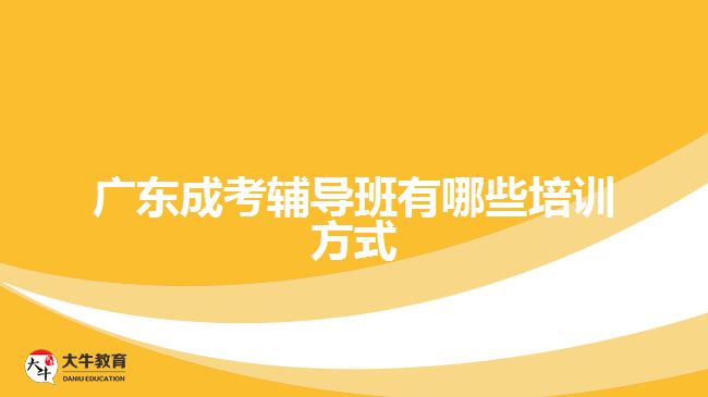 广东成考辅导班有哪些培训方式