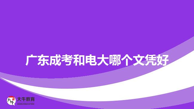 广东成考和电大哪个文凭好