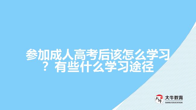 参加成人高考后该怎么学习？有些什么学习途径