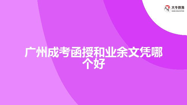 广州成考函授和业余文凭哪个好