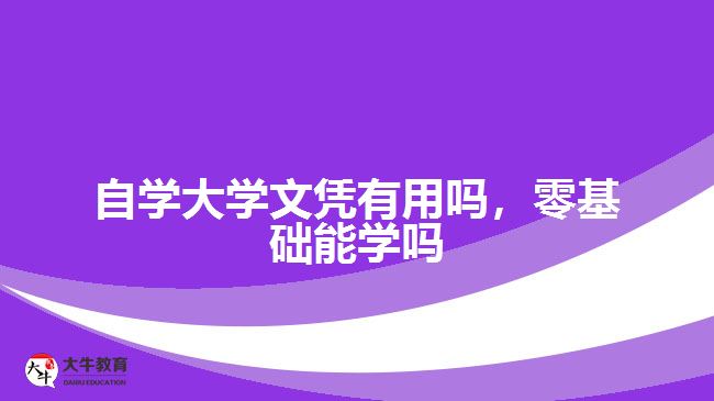 自学大学文凭有用吗，零基础能学吗
