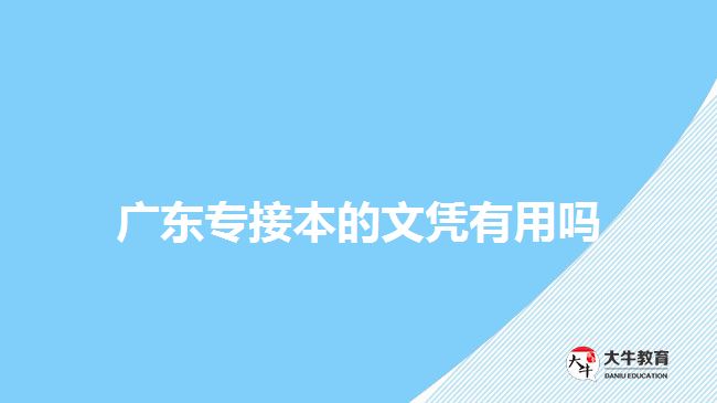 广东专接本的文凭有用吗