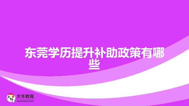 东莞学历提升补助政策有哪些