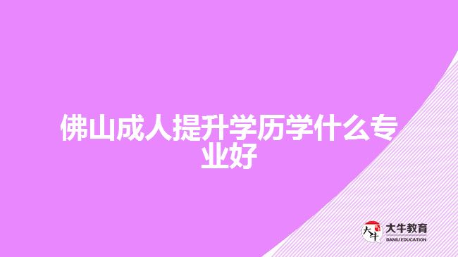 佛山成人提升学历学什么专业好