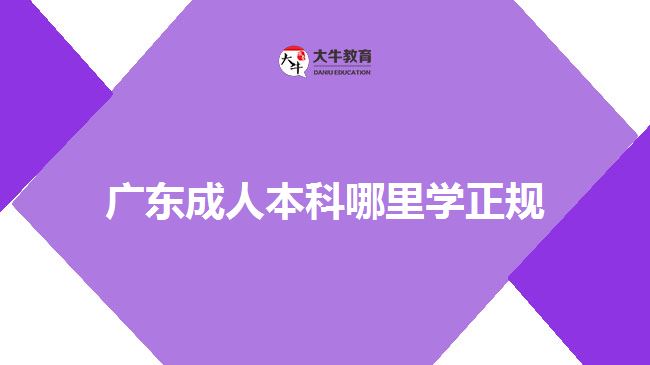 广东成人本科哪里学正规