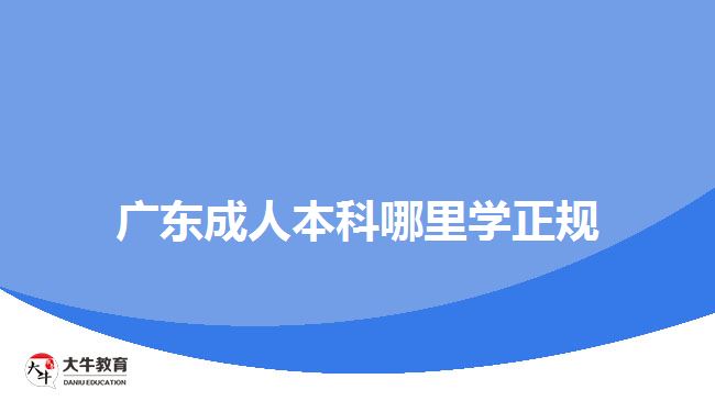 广东成人本科哪里学正规