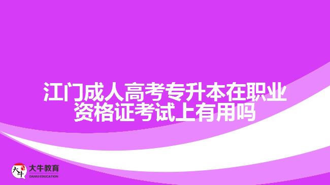 江门成人高考专升本在职业资格证考试上有用吗
