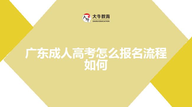 广东成人高考怎么报名流程如何