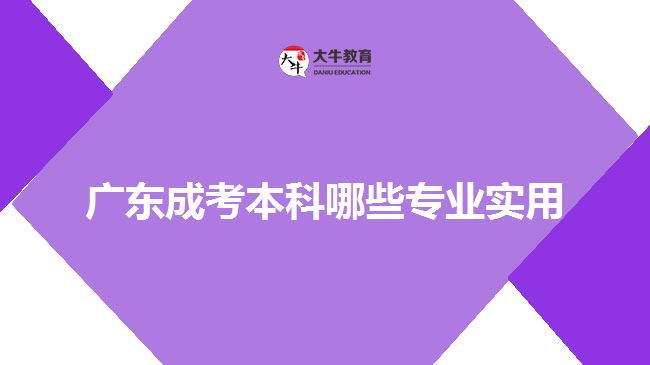 广东成考本科哪些专业实用
