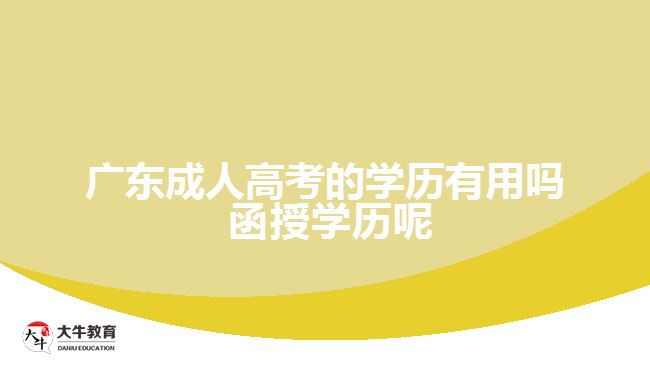 广东成人高考的学历有用吗 函授学历呢