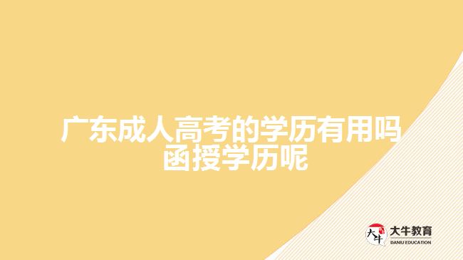 广东成人高考的学历有用吗 函授学历呢