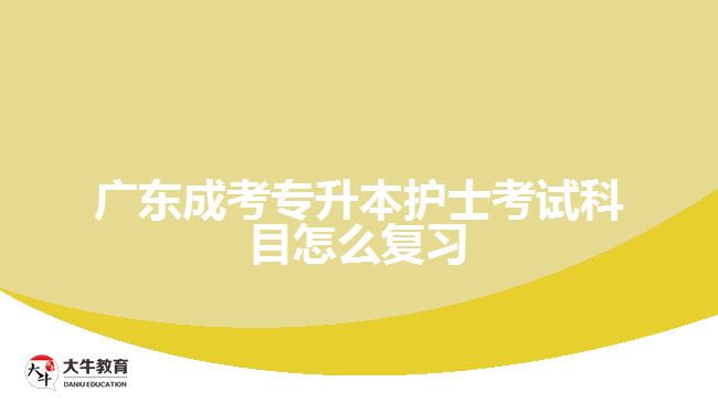 广东成考专升本护士考试科目怎么复习
