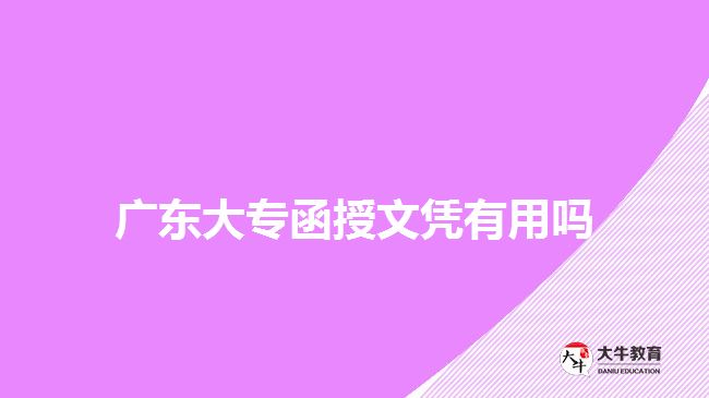 广东大专函授文凭有用吗