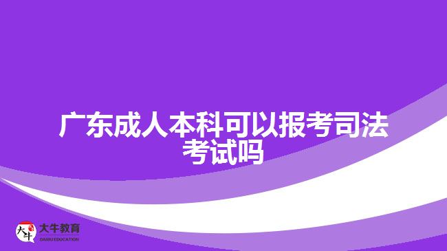 广东成人本科可以报考司法考试吗