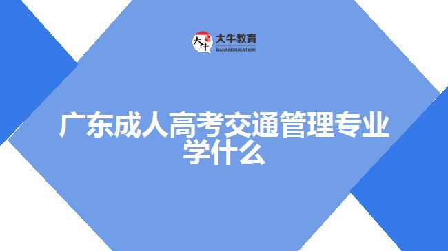 广东成人高考交通管理专业学什么