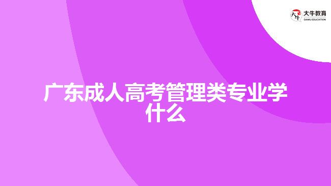 广东成人高考管理类专业学什么