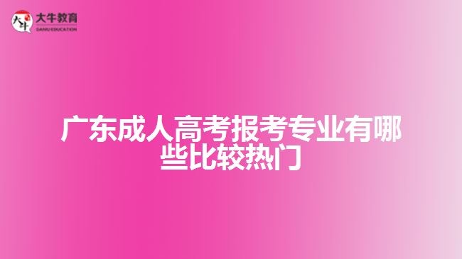 广东成人高考报考专业有哪些比较热门