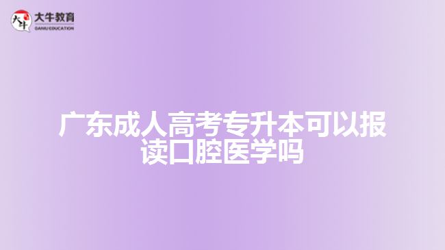 广东成人高考专升本