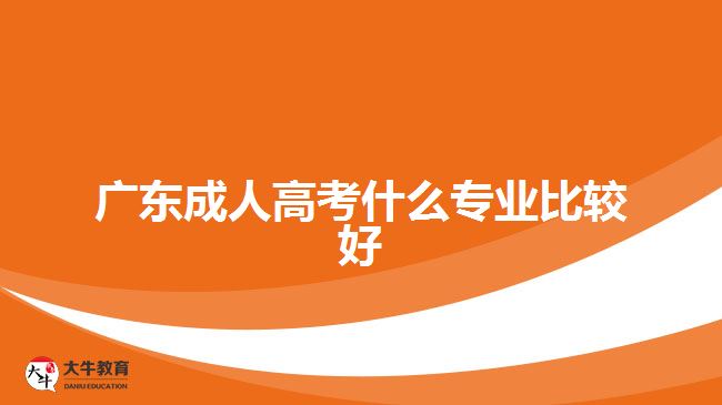 广东成人高考什么专业比较好