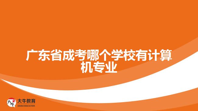 广东省成考哪个学校有计算机专业