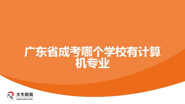 广东省成考哪个学校有计算机专业