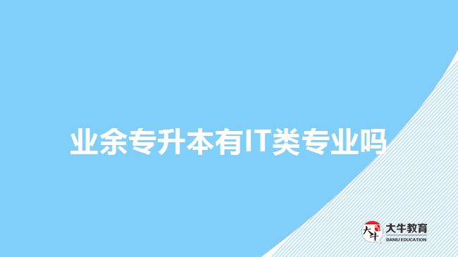 业余专升本有IT类专业吗
