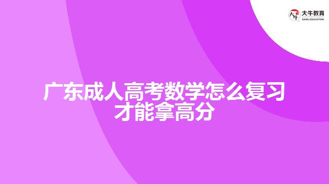 广东成人高考数学怎么复习拿高分