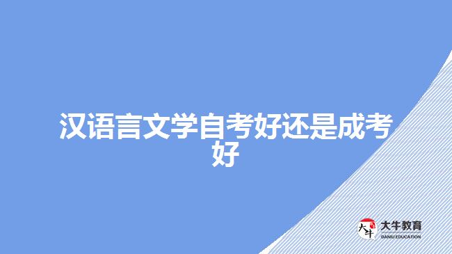 汉语言文学自考好还是成考好