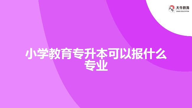 小学教育专升本可以报什么专业