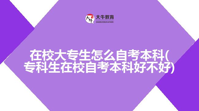 在校大专生怎么自考本科(专科生在校自考本科好不好)