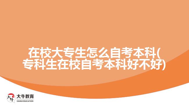 在校大专生怎么自考本科