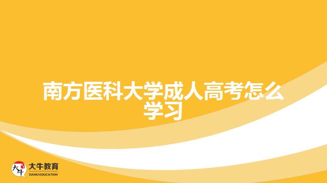 南方医科大学成人高考怎么学习