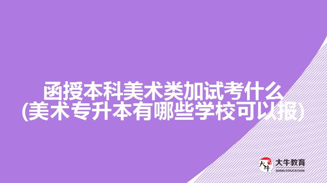 函授本科美术类加试考什么(美术专升本有哪些学校可以报)