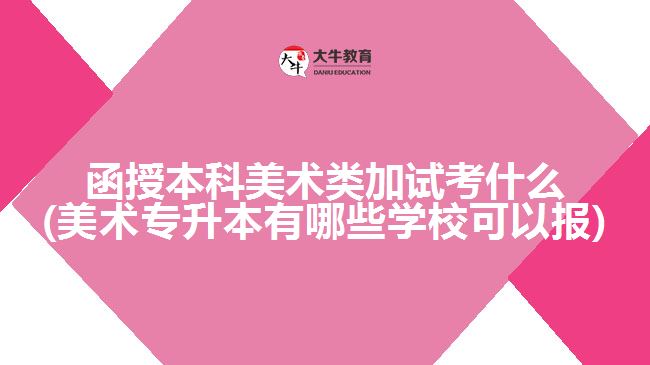函授本科美术类加试考什么