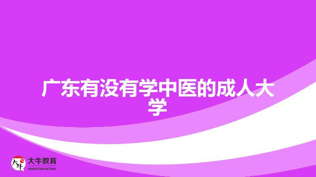 广东有没有学中医的成人大学