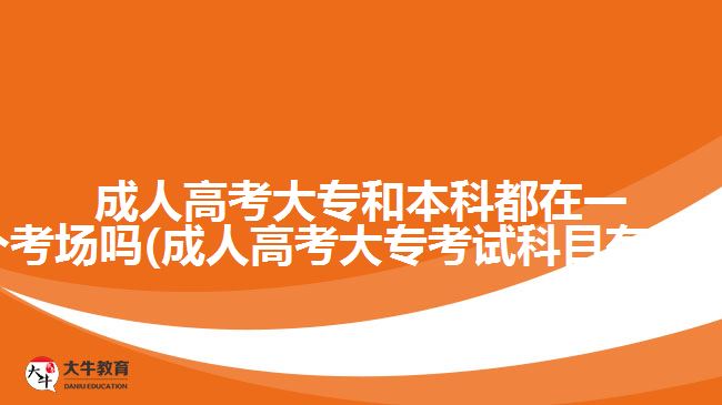 成人高考大专和本科都在一个考场吗