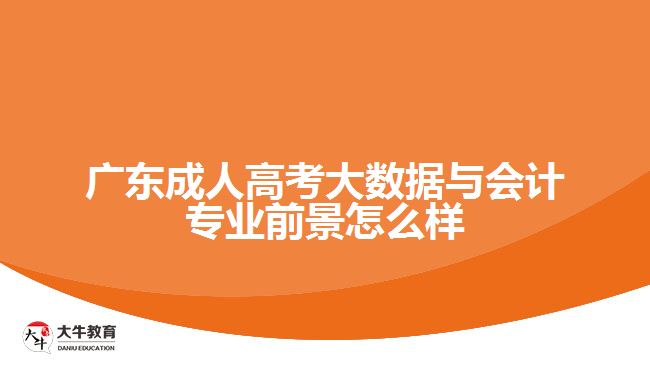 广东成人高考大数据与会计专业前景