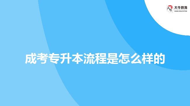成考专升本流程是怎么样的